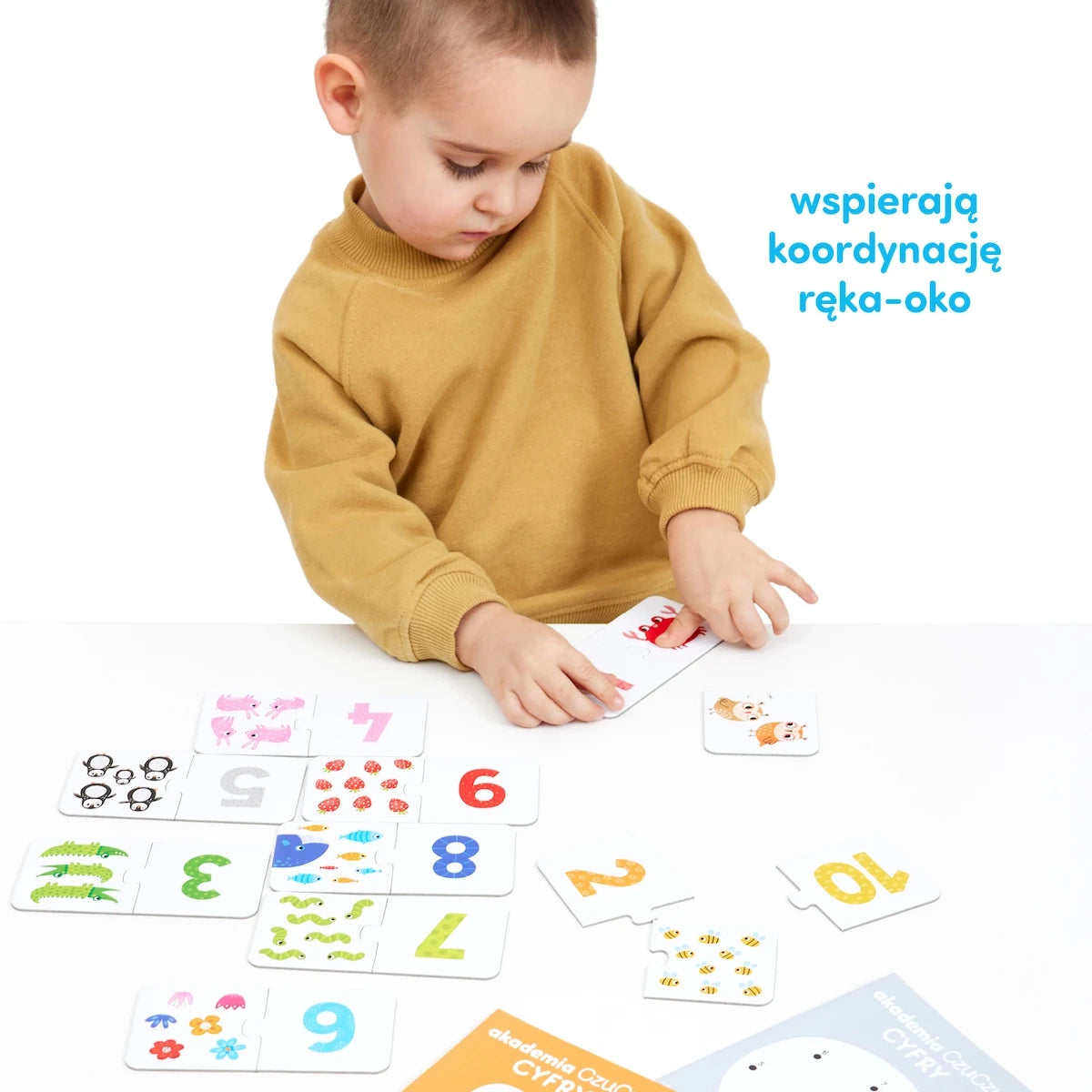 Gra edukacyjna Akademia Cyfry nauka liczenia, od 3 lat