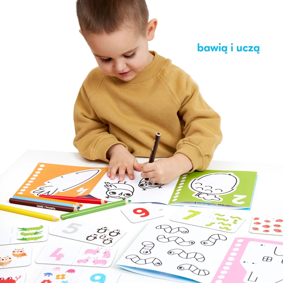 Gra edukacyjna Akademia Cyfry nauka liczenia, od 3 lat