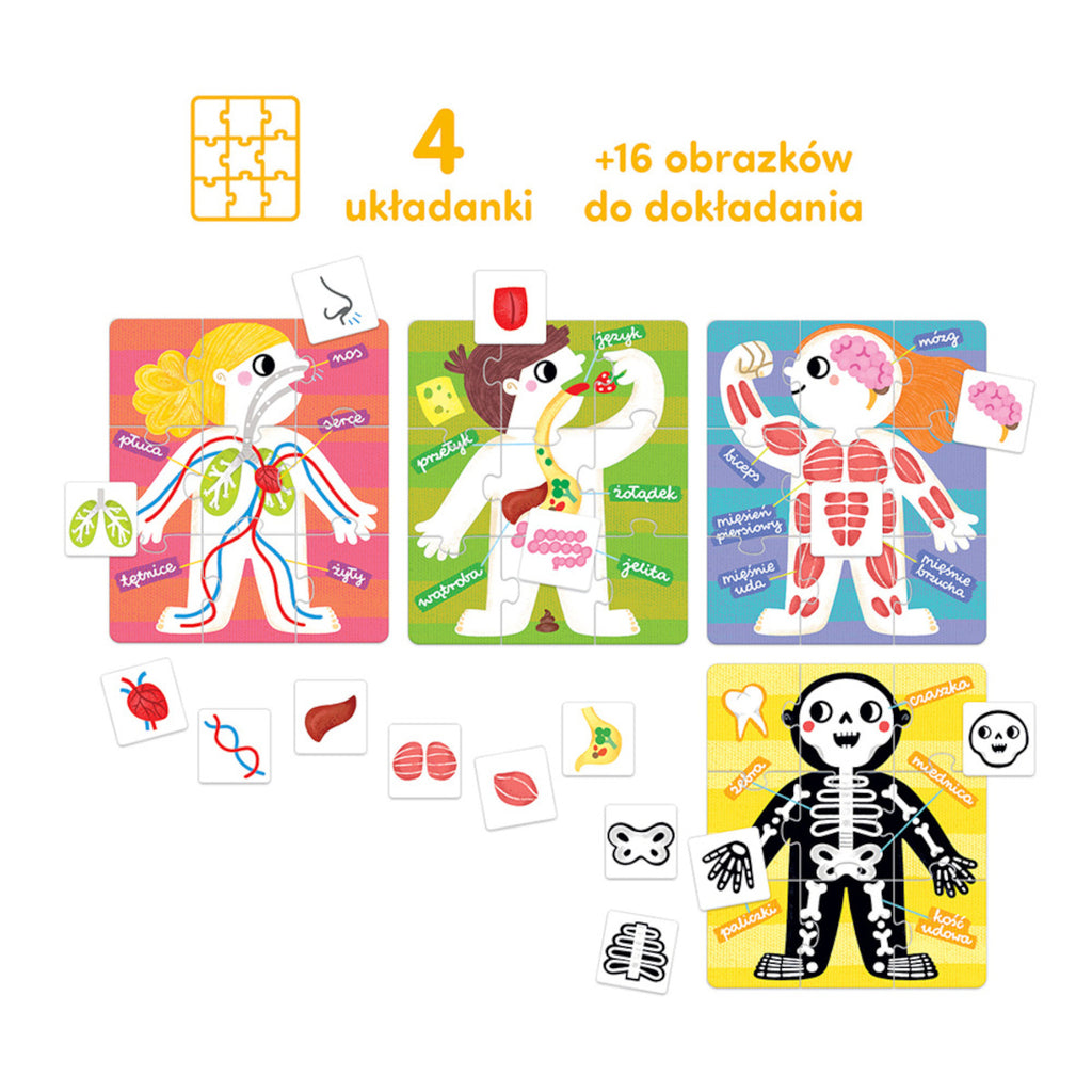 Puzzle Moje ciało Nauka anatomii przez zabawę, od 3 lat