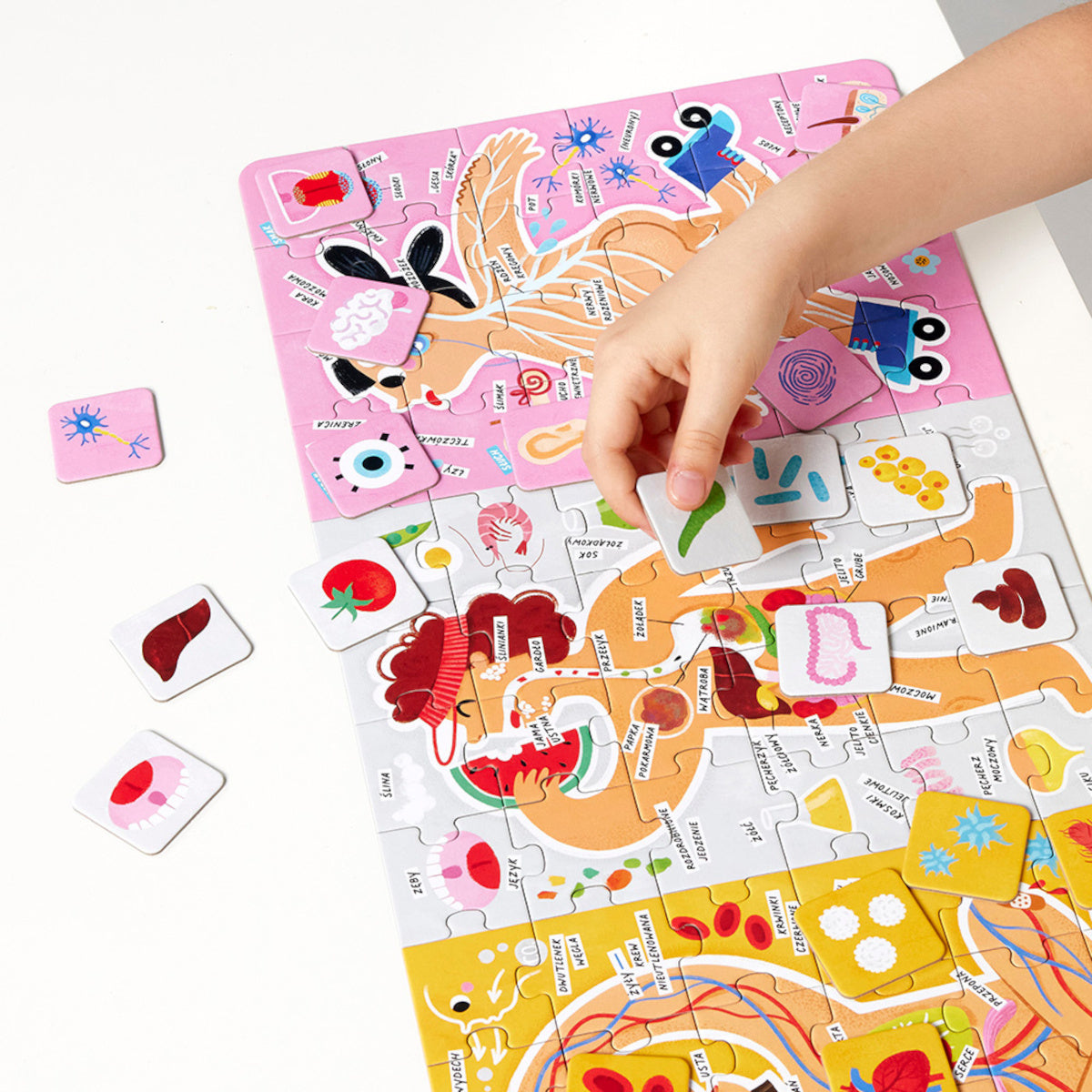 Puzzle edukacyjne Tak działa Moje ciało 96 el., od 5 lat